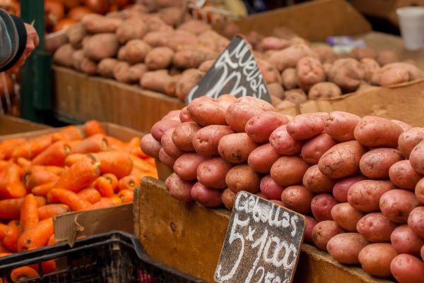 为什么减肥要吃淀粉，土豆都是淀粉怎么会是减肥食品呢不解
